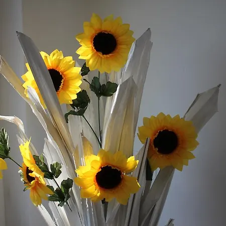 Rosato Sea View Apartamento *